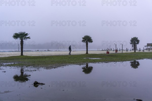 The Seaside Beach, at the Lake Baldeney in Essen, dull, very foggy January day, palm trees are