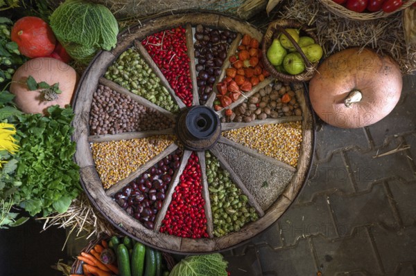 Fruit decorated in and around an old wooden spoked wheel at a harvest festival, Franconia, Bavaria,