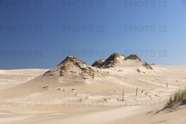 Lacka Dune on a sunny day with a blue sky in the Slowinski National Park, northern Poland on the