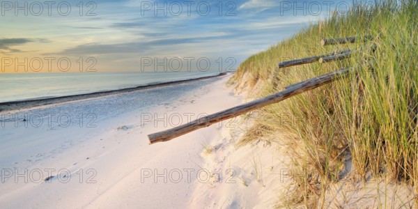 Pristine white beach with pebbles and dunes at Darßer Ort in the evening light, Weststrand, Darß