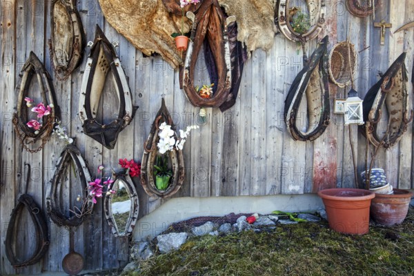 Old horse collar on a wooden wall, Oberallgäu, Allgäu, Bavaria, Germany, Europe