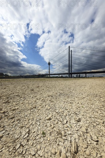 Düsseldorf, North Rhine-Westphalia, Germany, Dry riverbed in the Rhine in front of the
