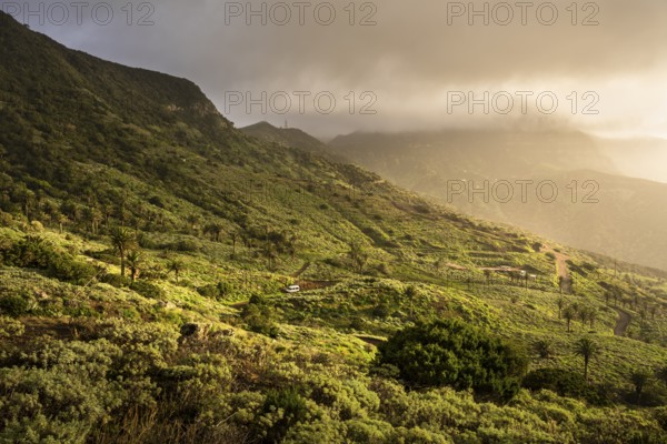 Landscape with mountains and palm trees on the north-west coast of La Gomera in the evening. Clouds