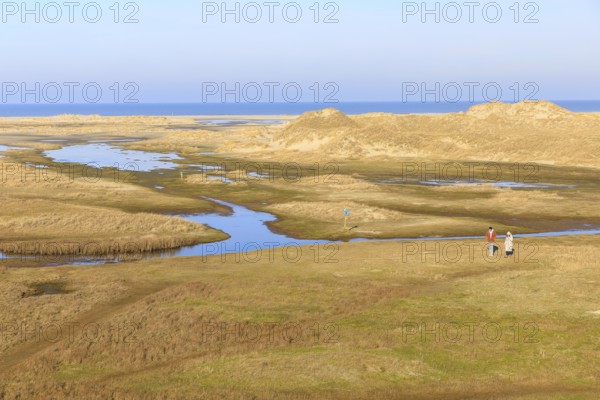 View from the post beacon, groundwater forms small ponds in the dune landscape in Norderney, in the
