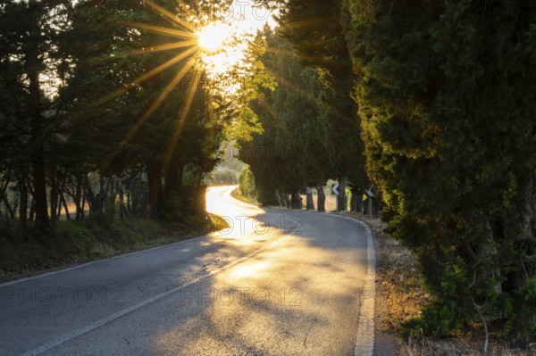 View of a strees in the tuscan landscape, country estate in Chianti at sunset, Chianti Region,