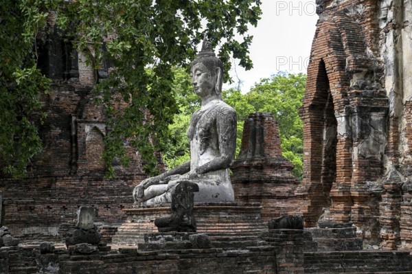 Buddha statue in Wat Mahathat Ayutthaya, Temple of the Great and Holy Relic, Ayutthaya, Ayutthaya
