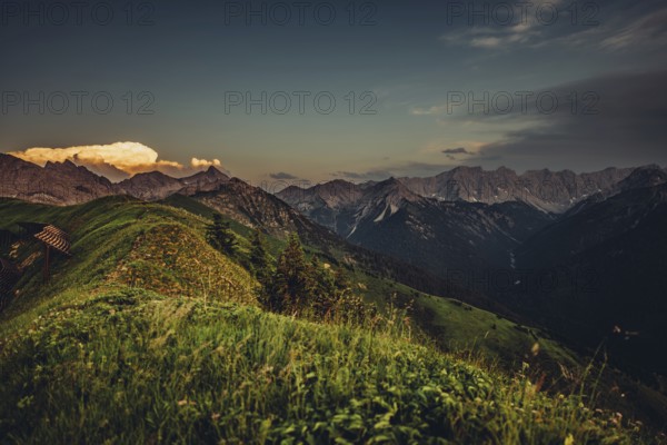 Hiking tour on the Hönig mountain in the Lechtal valley near Berwang in Tyrol, Austria, Europe