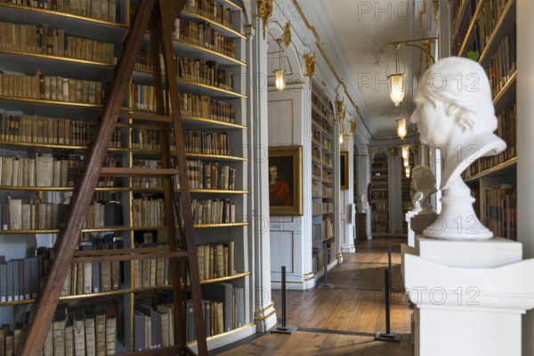 Central Rococo Hall of the Duchess Anna Amalia Library in Weimar, Thuringia, Germany, Europe