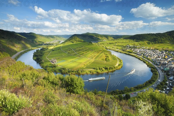 View of the Moselle loop, Bremm, Moselle valley, Rhineland-Palatinate, Germany, Europe