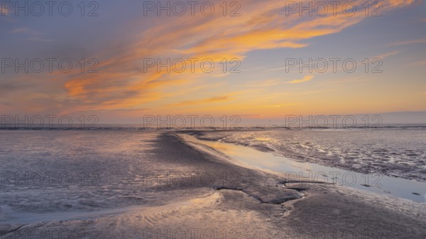 View of a tidal flat in the Wadden Sea at low tide at sunset, National Park, Unesco, World Natural