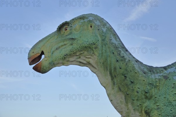 Head of the green Iguanodon dinosaur, realistic model, life-size replica, realistic, animal figure,