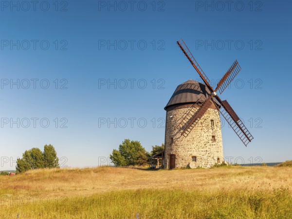 The tower windmill of Warnstedt in the evening light under a blue sky, Teufelsmühle, Thale,