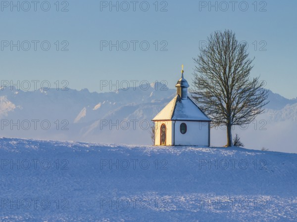 Chapel, tree, morning light, winter, snow, mountain landscape, near Riegsee, behind Zugspitze,
