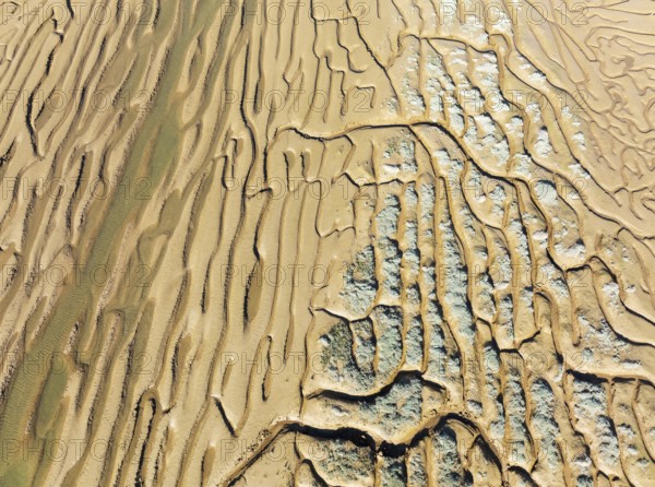 Network of channels and streams at low tide. In the marshland adjacent to the Odiel river. Aerial