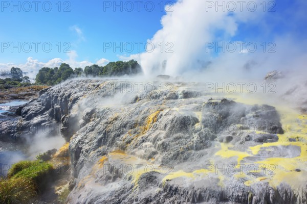 Prince of Wales and Pohutu geysers erupting, Te Puia Thermal Valley, Rotorua, Bay of Plenty, North