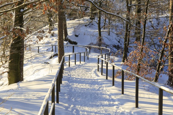 Snow-covered hiking trail on the Bastei, Saxon Switzerland, Saxony, Germany, Europe