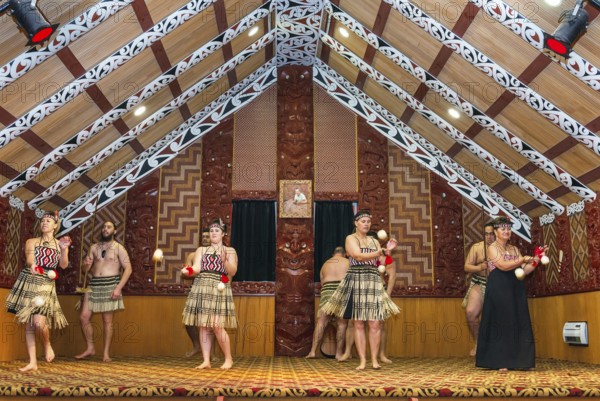 Maori welcome dance performance, Te Puia, Rotorua, Bay of Plenty, North Island, New Zealand,