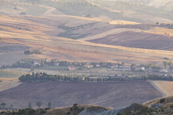 Typical Tuscan landscape in Val d'Orcia with hills, trees, fields, cypresses in autumn at sunset,