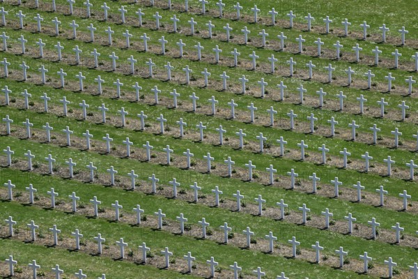 Crosses at the military cemetery near the Douaumont ossuary, First World War, Verdun, Grand Est