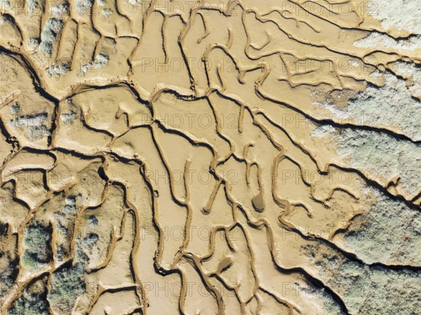 Network of channels and streams at low tide. In the marshland adjacent to the Odiel river. Aerial