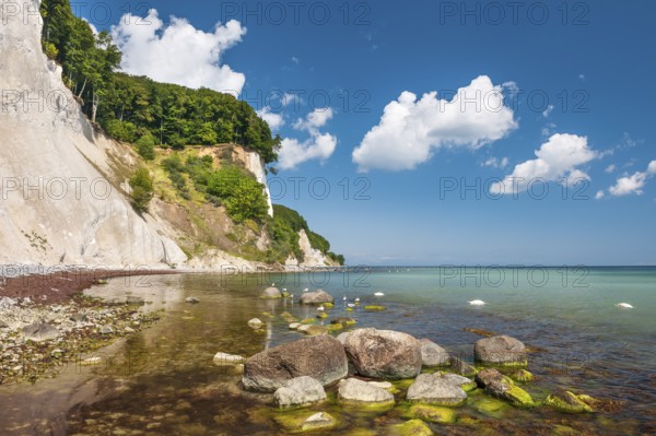 Keide coast with large stones and algae in the water of the Baltic Sea, seagulls and swans, Jasmund