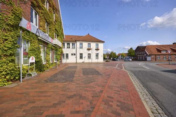 Pharmacy at the town hall, Boston ivy (Parthenocissus tricuspidata), town hall, brick building,