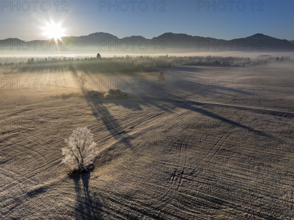 Sunrise, fog, hoarfrost, mountains, winter, tree, backlight, aerial view, Loisach-Lake Kochel moor,