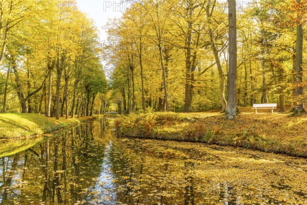 Castle park of Hermsdorf Castle with castle moat in autumn, Ottendorf-Ockrilla, Saxony, Germany,