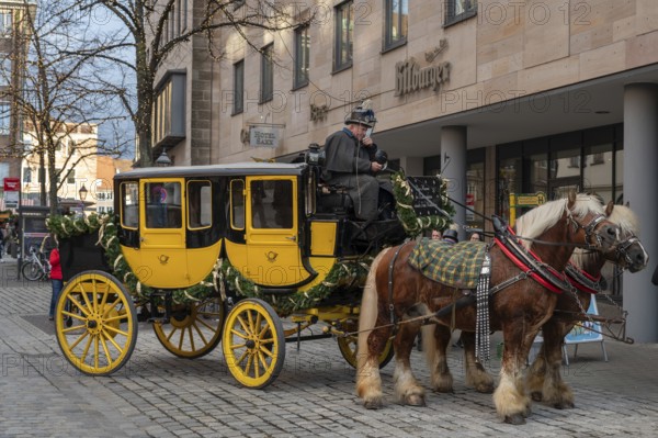 Historic stagecoach with harnessed cold-blooded horses, draught horses, round trips during the