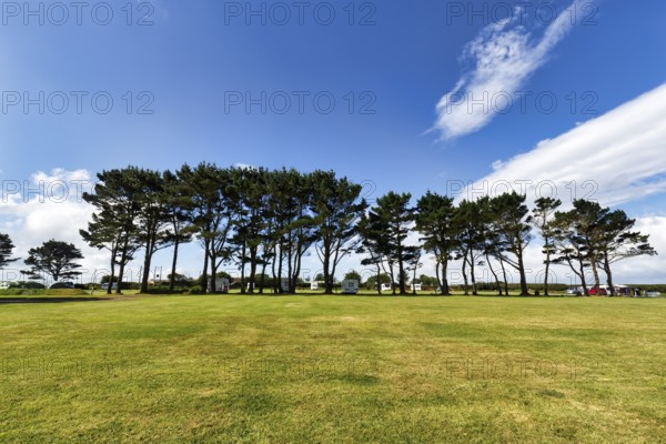 Row of trees, mobile homes on a campsite, Cirrus, Wales, Great Britain