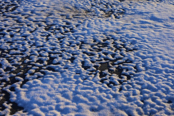 Frozen snow layer with irregular patterns in sunlight, winter, Wasserkuppe, Gersfeld, Rhön, Hesse,