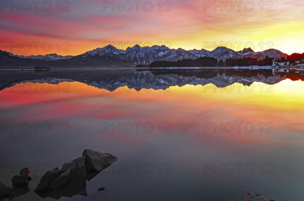 Sunset at the Forggensee near Füssen in the Allgäu, on the right the Aggenstein (1986 m), Bavaria,