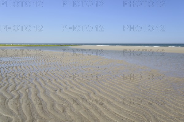 Beach at low tide with wave-like structure, current ripples in wet sand, blue sky, North Sea,