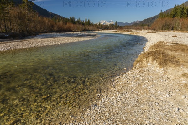 Isar valley nature conservancy area. The wild Isar river flows through its gravel bed past