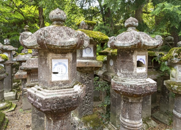 Stone lanterns, Kasuga-taisha shrine, Nara, Japan, Asia