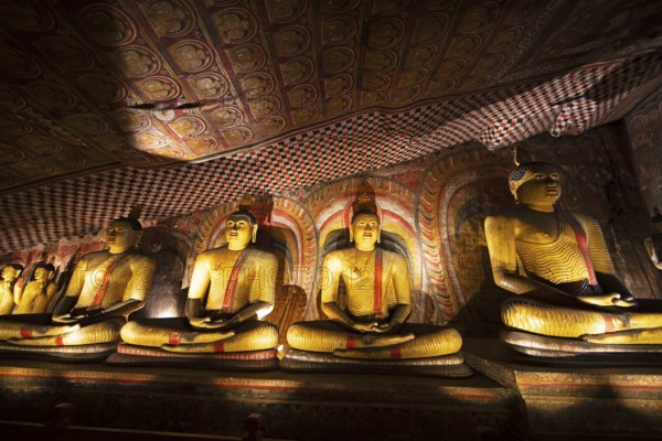 Seated Buddha statues in the Dambulla cave temple, Dambulla, Central Province, Sri Lanka, Asia