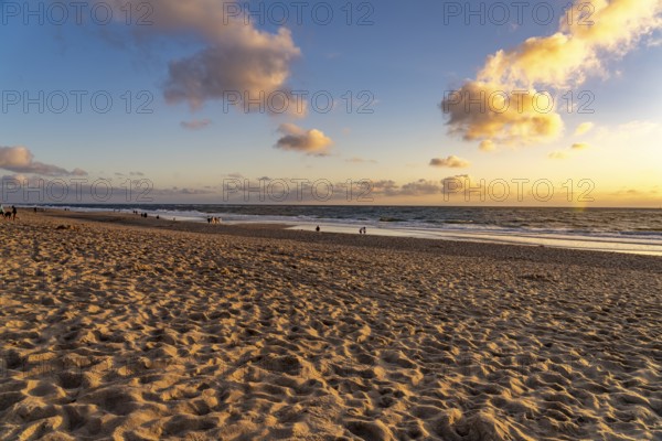 The west beach near Westerland in the evening light, island Sylt, district Nordfriesland,