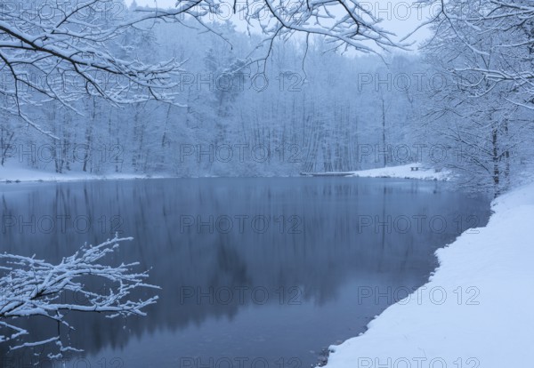 Winter magic at the Spitzgrundteich, Friedewald, Coswig, Saxony, Germany, Europe