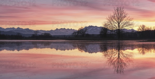 Pilatus reflected in the flooded nature reserve in the evening light, Reussspitz, Hünenberg, Canton