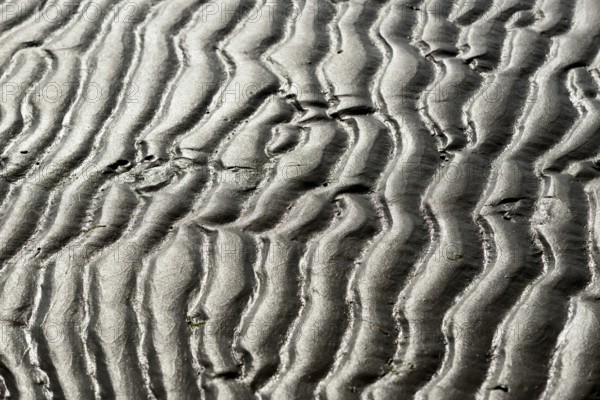 Beach at low tide with wave-like pattern, current ripples, North Sea, Norderney East Frisian