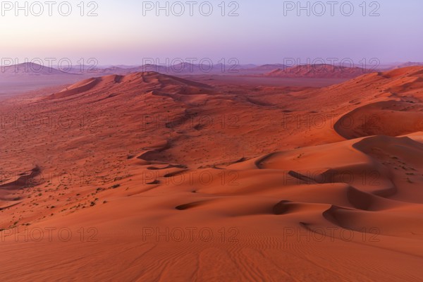 Wind-sculpted, curved sand dunes in the Rub al Khali desert, Dhofar province, Arabian Peninsula,
