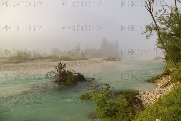 Isar valley nature conservancy area. The wild Isar river flows through its gravel bed past