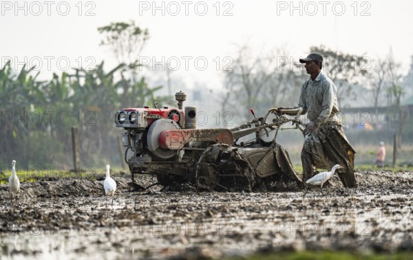 A farmer using hand tractor to plough an agricultural field at Mayong village in Morigaon, India on