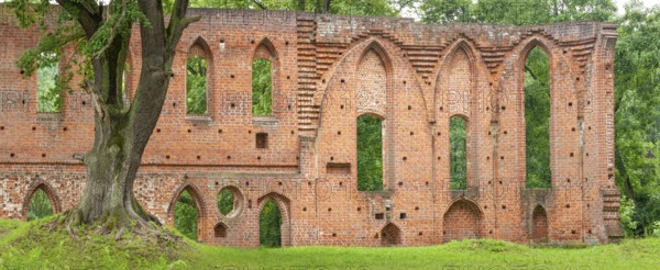 Boitzenburg Monastery Ruins, Boitzenburger Land, Uckermark, Brandenburg, Germany, Europe