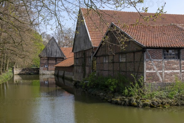 Historic Gräftenhof Haus Runde, Billerbeck, Münsterland, North Rhine-Westphalia, Germany, Europe