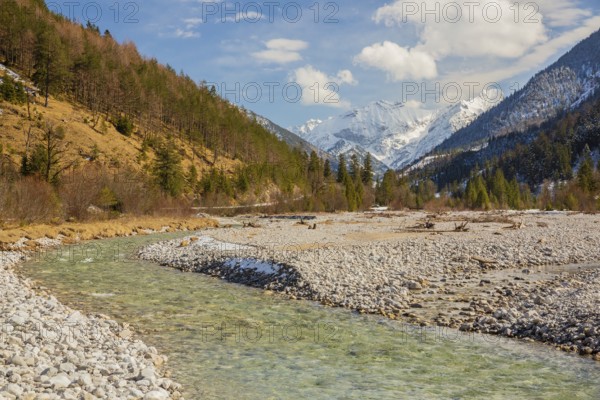 Isar valley nature conservancy area. The wild Isar river flows through its gravel bed