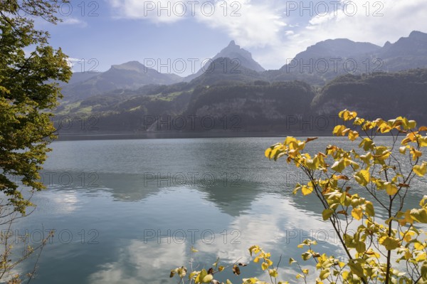 View from the north shore to the mountains in the south of Lake Walen, Amden, St. Gallen,