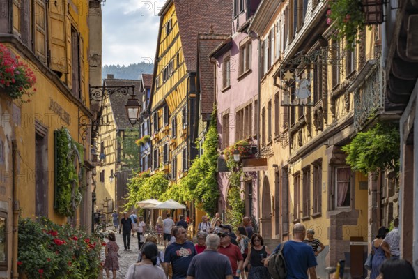 The historic old town centre of Riquewihr, Alsace, France, Europe