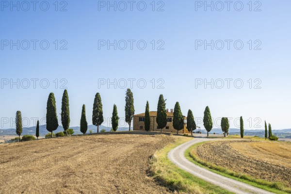 Tuscany landscape with cypresses and farmstead, dawn, 'Podere Cipressini', San Quirico d'Orcia, Val