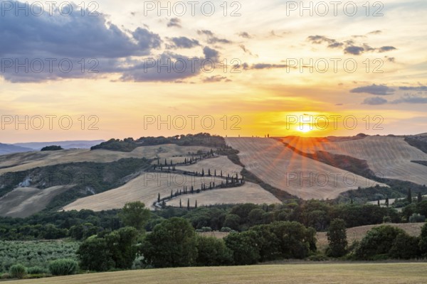 Typical Tuscan landscape in Val d'Orcia with hills, trees, fields, cypresses and farm road in